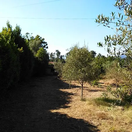 Landsted Quintinha Com Casa Rustica *